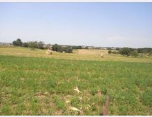 Ampio paesaggio rurale con campi coltivati e rotoballe di fieno sparse, interrotto da piccoli gruppi di alberi e siepi. Sullo sfondo si vede una linea di colline basse sotto un cielo sereno e chiaro.