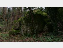 Grande masso coperto di muschio in un bosco fitto, circondato da alberi e sottobosco con edera e foglie secche sul terreno. Rocce più piccole e vegetazione ombrosa completano l’ambiente naturale.