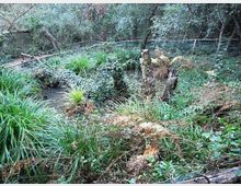 612-cf8131dfa992a31c3441ff98c63897c1jpg