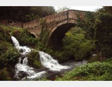 52531-photo-monumento-nturale-parco-della-forre-2-jpgjpg