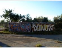 Muro basso lungo una strada asfaltata, coperto da grandi graffiti colorati e scritte in stile street art. Dietro il muro si vedono recinzioni metalliche, vegetazione fitta e alberi sotto un cielo sereno.