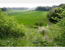 52063-photo-riserva-decima-malafede-jpgjpg