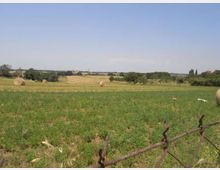 Ampio paesaggio rurale con campi verdi e rotoballe di fieno sparse, che si estende su dolci colline. In primo piano si vede un tratto di recinzione metallica, con alberi e vegetazione bassa all’orizzonte sotto un cielo sereno.
