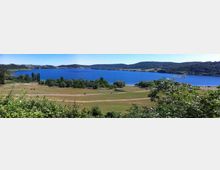 51775-photo-lago-martignano-jpgjpg