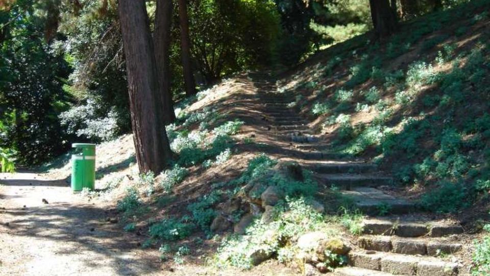 Sentiero in un parco boscoso con una scalinata in pietra che sale lungo un pendio tra alberi alti e vegetazione bassa. A sinistra si vede un’area più pianeggiante con un cestino verde per i rifiuti.