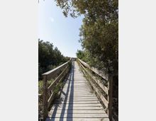 49979-photo-flm-7820-spiaggia-riserva-di-castel-porziano-jpgjpg