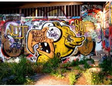 Facciata di un edificio industriale dismesso con finestre superiori protette da grate e parete interamente coperta da graffiti colorati, tra cui un grande murale di un personaggio stilizzato. In primo piano terreno incolto con erba alta e detriti.