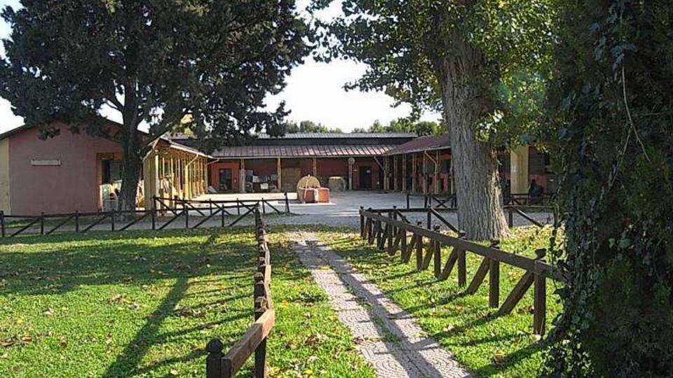 Vialetto pavimentato che attraversa un prato e conduce a un complesso di edifici bassi con porticati in legno, delimitato da staccionate. Grandi alberi ad alto fusto e vegetazione fitta incorniciano l’area esterna.
