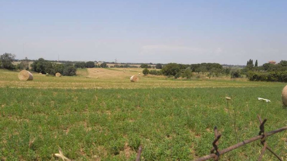Ampio paesaggio rurale con campi verdi e rotoballe di fieno sparse, che si estende su dolci colline. In primo piano si vede un tratto di recinzione metallica, con alberi e vegetazione bassa all’orizzonte sotto un cielo sereno.