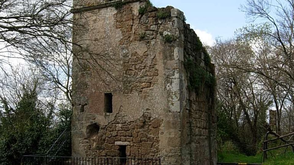 Rudere in pietra di una torre o edificio storico, con pareti parzialmente crollate e un’arcata visibile nella parte alta. La struttura è circondata da prato e alberi spogli, con una piccola recinzione metallica in primo piano sotto un cielo parzialmente nuvoloso.