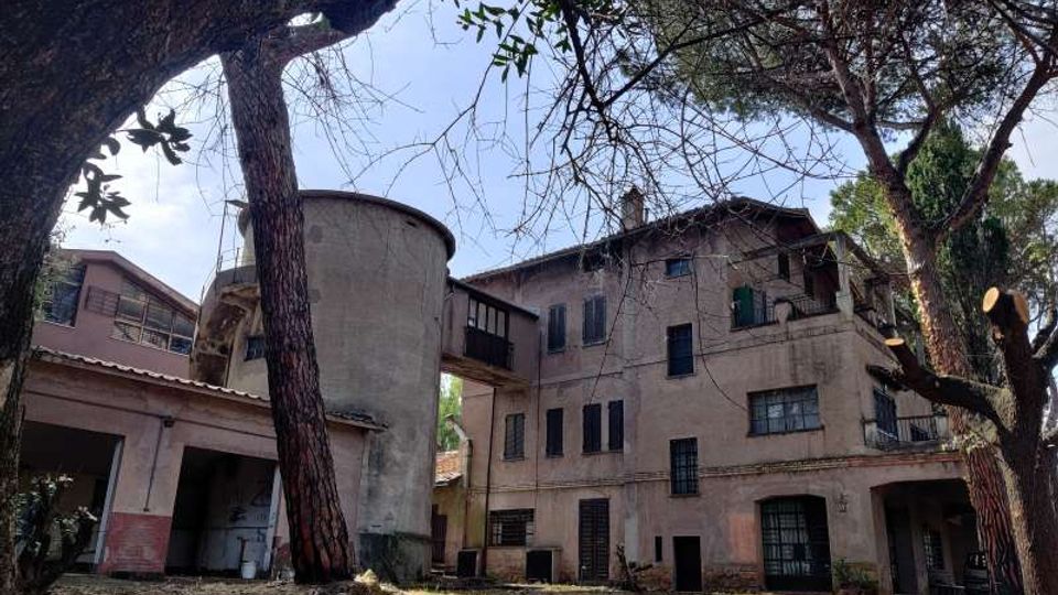 58051-photo-img-20210616-100203-jpgjpg