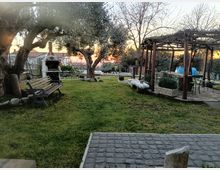 Giardino con prato e grandi ulivi, con panchina e barbecue in muratura sulla sinistra. A destra una pergola in legno con pavimentazione in pietra e arredi da esterno, con alberi spogli e case sullo sfondo al tramonto.