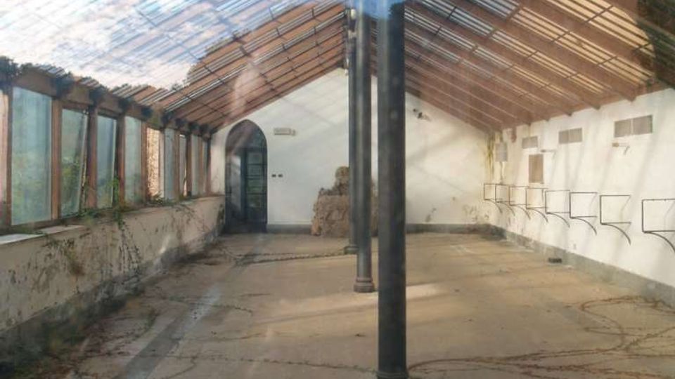 Interno di una grande serra o capannone abbandonato con tetto a falde in vetro e struttura metallica, sostenuto da colonne in ferro. Pavimento in cemento con crepe e vegetazione, pareti laterali con finestre e mensole metalliche, e un arco d’ingresso sul fondo.
