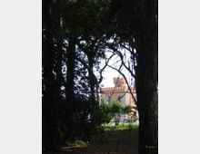 Vista attraverso alberi e vegetazione fitta di un parco, con in lontananza un edificio in mattoni rosati in stile castellano, con merlature e una torre. In primo piano si vedono tronchi alti e rami che incorniciano la costruzione su un prato.