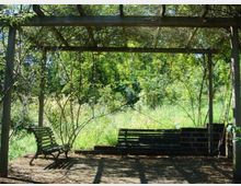 Pergolato in legno coperto da rami e vegetazione, con panchine e una piccola area pavimentata in ombra. Sullo sfondo si vede un prato incolto e alberi fitti in un contesto di giardino o parco.