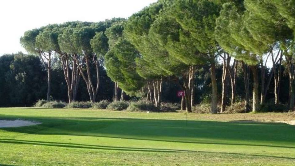 Campo da golf con ampio green e bunker di sabbia a sinistra, circondato da una pineta di alti pini marittimi. Una bandierina rossa indica la buca sul prato, con alberi e vegetazione sullo sfondo.