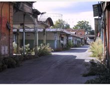 Vicolo asfaltato all’interno di un complesso industriale dismesso, fiancheggiato da capannoni con pensiline e colonne in cemento e serrande chiuse. Vegetazione spontanea cresce lungo i bordi e tra le strutture, con alberi visibili sullo sfondo.