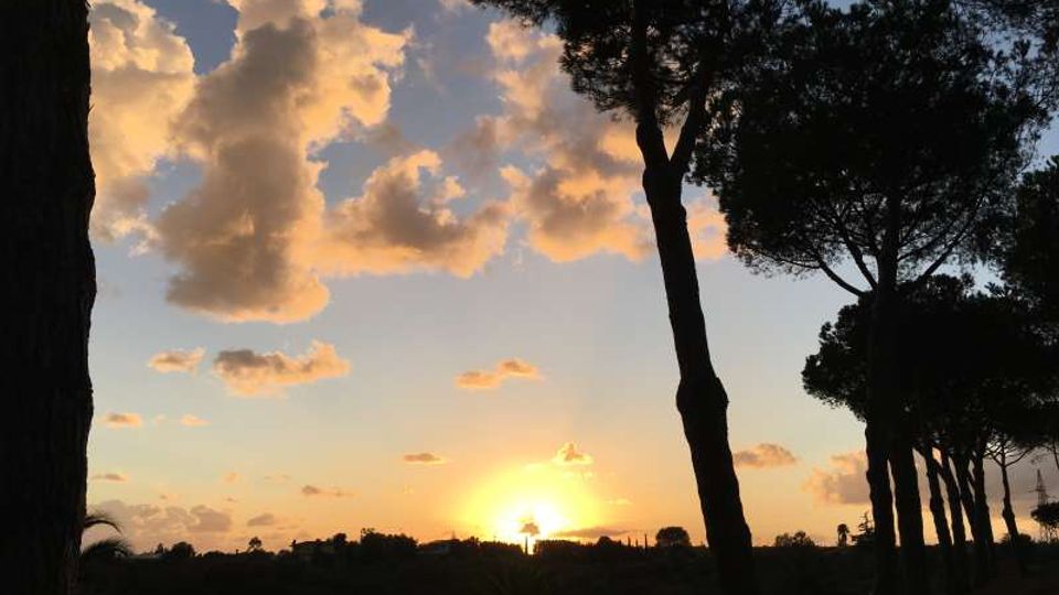 Tramonto su un paesaggio naturale con alti pini in controluce e vegetazione scura in primo piano. Nel cielo azzurro si vedono grandi nuvole illuminate di arancione vicino all’orizzonte.