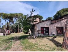 58043-photo-img-20210616-095324-jpgjpg