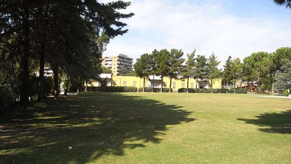 Ampio prato pianeggiante in un parco, con una fila di alberi ad alto fusto che costeggia il lato sinistro e proietta ombre sull’erba. Sullo sfondo si vedono edifici bassi e un palazzo più alto oltre le chiome degli alberi, sotto un cielo parzialmente nuvoloso.
