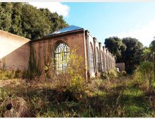 Serra abbandonata in muratura con lunga fila di grandi finestre ad arco e tetto in vetro, circondata da vegetazione incolta. Sullo sfondo si vedono alberi fitti e un muro perimetrale sotto un cielo sereno.