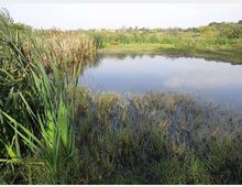 561-eac402a0bacde1ca596791a7e3d8f4d1jpg