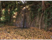 52017-photo-riserva-naturale-della-marcigliana-14-1024x769-jpgjpg