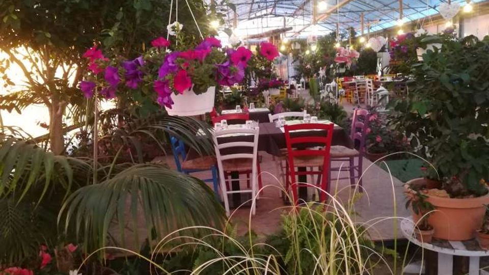 Interno di una serra-ristorante con struttura in metallo e tetto trasparente illuminato da luci sospese. Tavoli apparecchiati con sedie colorate sono circondati da piante e fiori, tra cui un vaso appeso di petunie viola e rosa e grandi vasi di vegetazione.
