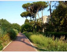 Pista ciclabile asfaltata che attraversa un’area verde con vegetazione mediterranea, cespugli e alti pini marittimi. Sullo sfondo si intravede un edificio in muratura parzialmente nascosto tra gli alberi.