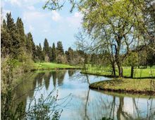 Laghetto con acqua calma in un parco verde, circondato da prati curati e alberi alti, con rami che si riflettono sulla superficie. Sullo sfondo si vede una fila di cipressi e cielo parzialmente nuvoloso.