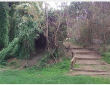 Sentiero boschivo con gradini in terra e tronchi di legno come corrimano, che sale tra vegetazione fitta e alberi con rami spogli. In primo piano c’è un prato verde e sullo sfondo si vede l’area ombreggiata del bosco.