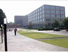Viale pedonale pavimentato che attraversa un’area verde in un complesso di uffici, con grandi edifici moderni a più piani e facciate a griglia di finestre. A lato si vedono lampioni, siepi e una strada interna con alcune auto parcheggiate.