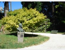 Parco con sentiero in ghiaia curvo tra prato e alberi, tra cui palme e un grande albero dalla chioma giallo-verde. In primo piano c’è un busto in bronzo su piedistallo in pietra, con panchina e lampione sullo sfondo.