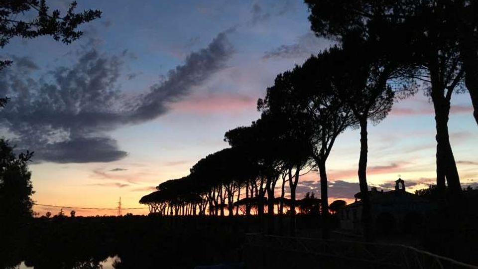 Viale alberato con alti pini marittimi in silhouette lungo un argine, con un corso d’acqua sulla sinistra che riflette il cielo. Sullo sfondo un tramonto con nuvole e tonalità rosa e azzurre sopra un paesaggio pianeggiante.