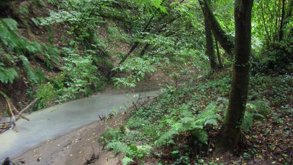 51891-photo-formello-fosso-dei-costaroni-jpgjpg