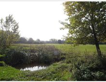 560-cab470069fba2415f52f17227ba3a6adjpg