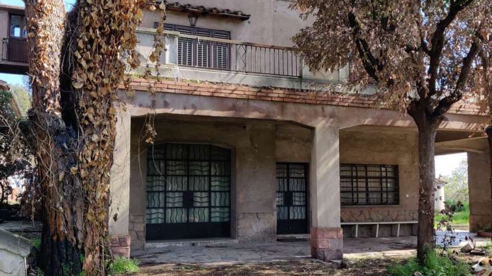 58037-photo-img-20210311-124809-jpgjpg