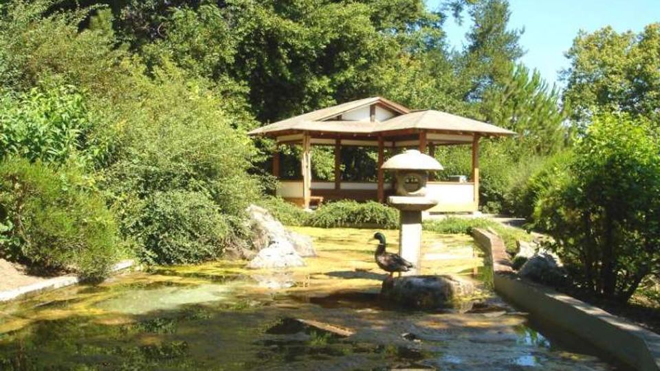 Padiglione in legno in stile giapponese in un giardino con vegetazione fitta, affacciato su uno stagno poco profondo con rocce e riflessi. In primo piano si vede una lanterna di pietra vicino all’acqua e un muretto basso che delimita il bordo dello stagno.