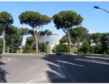 Strada asfaltata in area urbana con una rotatoria e alti pini marittimi ai lati. Sullo sfondo si vede un grande edificio moderno con facciata curva in vetro e strutture metalliche, circondato da verde e illuminazione stradale.