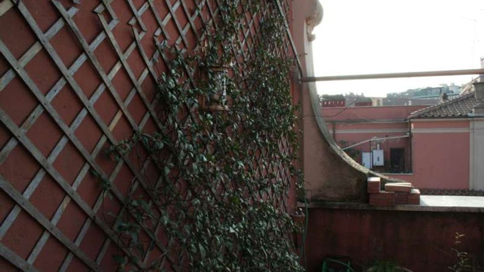 Terrazza urbana con parapetto in muratura e parete laterale rivestita da un grigliato in legno con piante rampicanti. Sullo sfondo si vedono tetti e facciate di edifici vicini, con una piccola area verde e vasi sul pavimento.