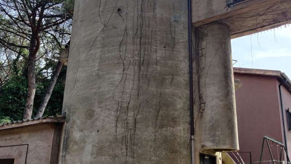 58056-photo-img-20210616-100304-jpgjpg