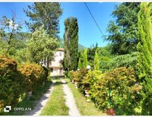 Vialetto sterrato con striscia d’erba centrale che attraversa un giardino rigoglioso con siepi, arbusti in vaso e alti cipressi, conducendo a una casa chiara con persiane. Sullo sfondo si vedono colline boscose sotto un cielo azzurro, con un cavo sospeso che attraversa l’inquadratura.