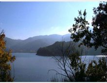 929-9da910e0c49cbd1c25b970ab865b97aajpg