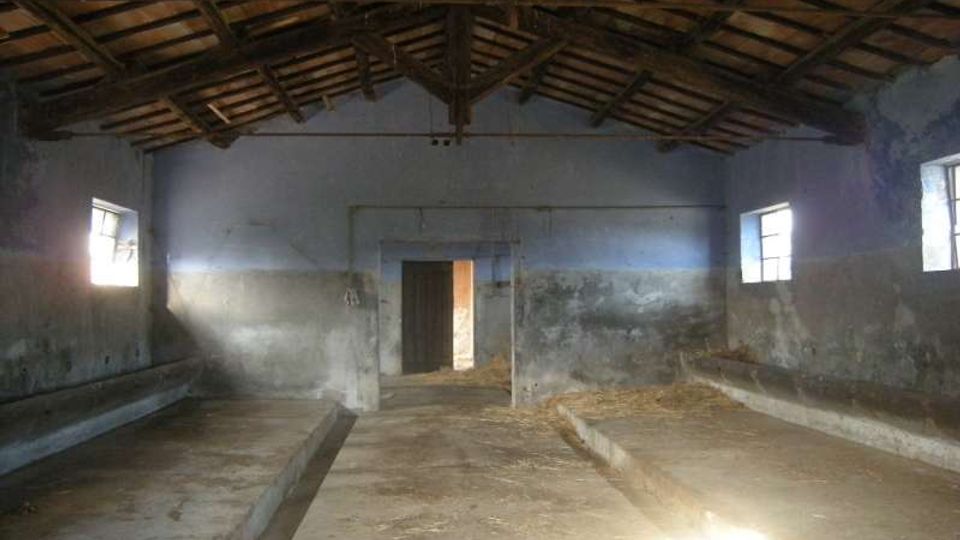 Interno di una stalla o fienile vuoto con tetto a capriate in legno a vista e pareti intonacate usurate. Il pavimento in cemento presenta due lunghi rialzi laterali e luce naturale entra da piccole finestre e da una porta centrale sul fondo.