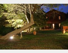 Giardino notturno con prato e alberi illuminati da faretti a terra, con grandi vasi in terracotta sparsi. Sullo sfondo si vede una casa a due piani con finestre illuminate e un portico.