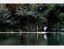 52124-photo-200810052254471-jpgjpg