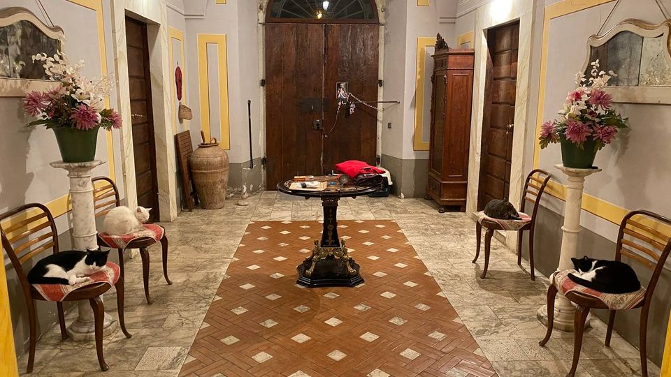 Interno di un ingresso in stile classico con soffitto a volta decorato, pavimento in marmo e inserto centrale in mattoni, e grande portone in legno ad arco sul fondo. Ai lati ci sono sedie e colonne con vasi di fiori, una piccola tavola rotonda al centro e un armadio in legno lungo la parete destra.