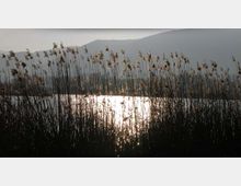 51983-photo-lago-lungo-1-jpgjpg