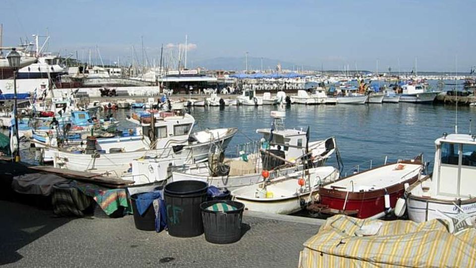 Porto turistico con numerose piccole imbarcazioni e barche da pesca ormeggiate lungo la banchina. In primo piano si vedono teli e contenitori sul molo, con acqua calma e molte barche a vela sullo sfondo.