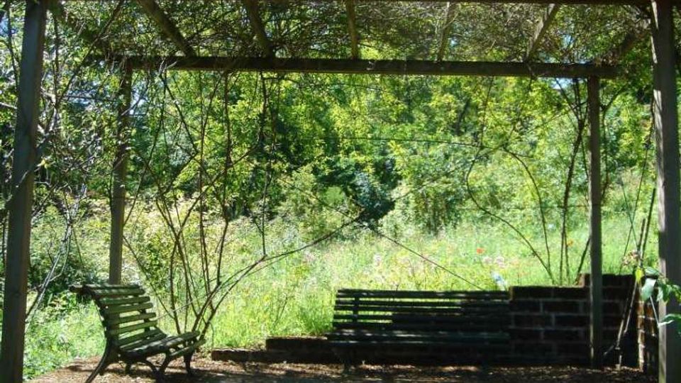 Pergolato in legno coperto da rami e vegetazione, con panchine e una piccola area pavimentata in ombra. Sullo sfondo si vede un prato incolto e alberi fitti in un contesto di giardino o parco.